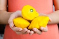 Yellow patty pan squash Royalty Free Stock Photo