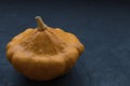 Yellow pattypan squash, on black concrete. View of the species of zucchini cucurbit. seasonal vegetables.