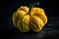 Yellow pattypan squash on dark background Royalty Free Stock Photo