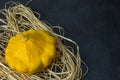 Yellow pattypan syuash on black concrete with hay. Kind of species of zucchini cucurbit. seasonal vegetables. country style.