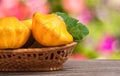 Yellow pattypan squash with leaf in a wicker basket on wooden table blurred background Royalty Free Stock Photo