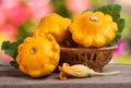 Yellow pattypan squash with leaf in a wicker basket on wooden table blurred background Royalty Free Stock Photo