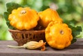 Yellow pattypan squash with leaf in a wicker basket on wooden table blurred background Royalty Free Stock Photo