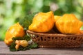 Yellow pattypan squash with leaf in a wicker basket on wooden table blurred background Royalty Free Stock Photo