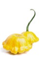 Yellow pattypan squash Royalty Free Stock Photo