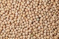 Yellow Pea white peas, matar sabut, Sugar pea Royalty Free Stock Photo