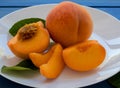 Yellow peaches full and cut on white plate, on blue table. Closeup, fruits Royalty Free Stock Photo