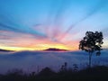 Yellow Peak, Marilog District, Davao City