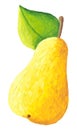 Yellow pear Royalty Free Stock Photo