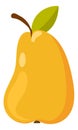 Yellow pear icon. Ripe fruit from garden tree