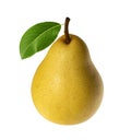 Yellow pear isolated on white background without shadow Royalty Free Stock Photo