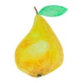 yellow pear by pastel isolated on white background