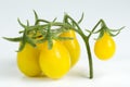 Yellow pear tomatoes Royalty Free Stock Photo