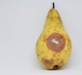 Yellow pear in a vertical position with mold
