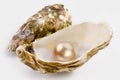 Yellow pearl Royalty Free Stock Photo