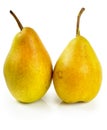 Yellow pears Royalty Free Stock Photo