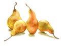 Yellow pears Royalty Free Stock Photo