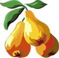 Yellow pears Royalty Free Stock Photo