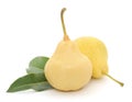 Yellow pears with green leafs Royalty Free Stock Photo