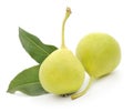 Yellow pears with green leafs Royalty Free Stock Photo