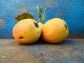 Yellow pears with leaves on a blue background