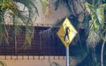 Yellow pedestrian sign street signin Playa del Carmen Mexico