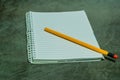 Yellow pencil laying on notebook Royalty Free Stock Photo