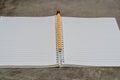 Yellow pencil laying on notebook Royalty Free Stock Photo