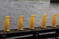 The yellow penguins of Prague Royalty Free Stock Photo