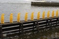 The yellow penguins of Prague