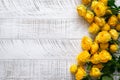 Yellow peony roses on the white wooden background. Royalty Free Stock Photo