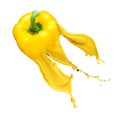 Yellow pepper isolated on white Royalty Free Stock Photo