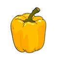 Yellow pepper in vector