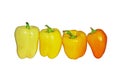Yellow peppers Royalty Free Stock Photo