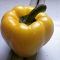 yellow peppers Royalty Free Stock Photo
