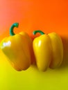 Yellow peppers on orange and chartreuse background