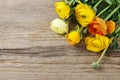 Yellow persian buttercup flowers ranunculus on wood Royalty Free Stock Photo