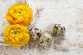 Yellow persian buttercup flowers (ranunculus) on wooden background. Royalty Free Stock Photo