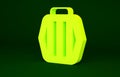 Yellow Pet carry case icon isolated on green background. Carrier for animals, dog and cat. Container for animals. Animal