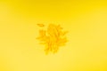 Yellow Petals Isolated, Sunflower Petal Pile, Orange Blossom Design