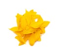 Yellow Petals Isolated, Sunflower Petal Pile, Orange Blossom Design
