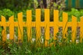 Yellow picket fence with pretty flowers in a yard Royalty Free Stock Photo