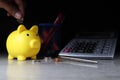 Yellow pig piggy bank is saving with coin money
