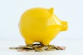 Yellow piggy bank isolated suggesting family savings concept