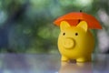 Yellow piggy bank with orange umbrella concept for finance insurance, protection Royalty Free Stock Photo