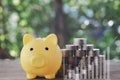 The yellow piggy bank is placed next to a pile of coins and all on the wood floor Royalty Free Stock Photo