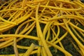 Yellow Tangled Cable Hose