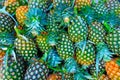 Yellow pineapple in the market Royalty Free Stock Photo