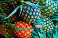 Yellow pineapple in the market Royalty Free Stock Photo