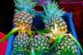 Yellow pineapple in the market Royalty Free Stock Photo